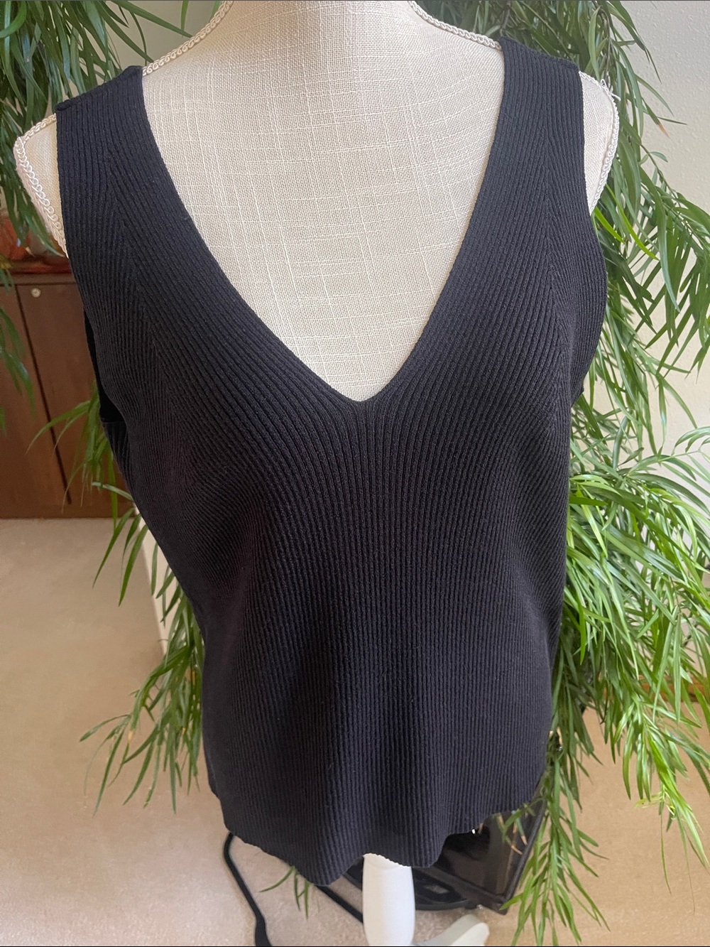 Sleeveless Black V-Neck Ribbed Top